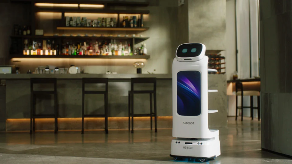 Food Delivery Robot used in Restaurants
